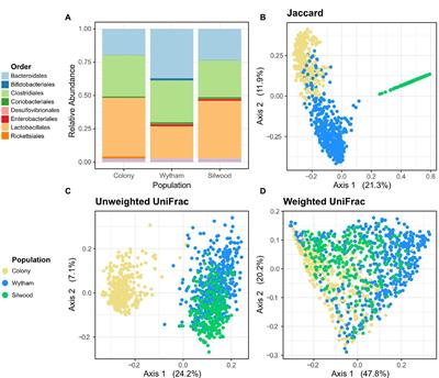 Synchronous Seasonality in the Gut Microbiota of Wild Mouse Populations